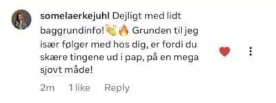 A screenshot of a social media comment in danish, praising the creator for providing background info and for their enjoyable method of cutting things out of cardboard. The comment has 1 like.